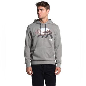 The North Face Bear Graphic Gray Hoodie